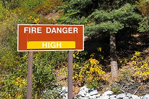 Forest Fire Prevention