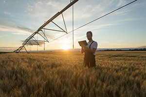 USDA: Special 2-Day Virtual Meeting About Statistical Programs