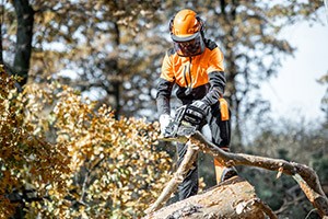 15 Tips for Safer Chainsaw Use